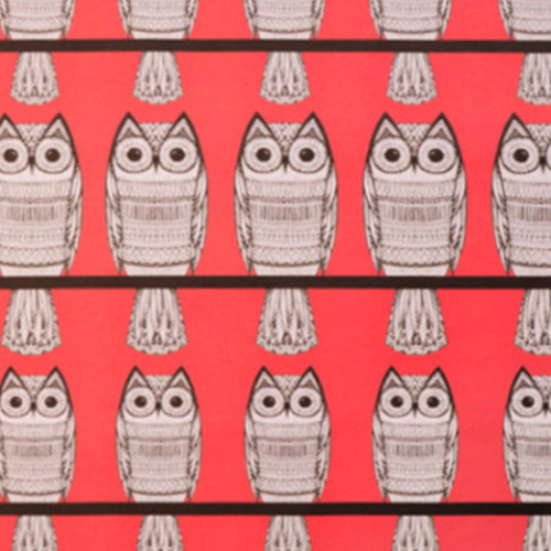 OWLS RED 포장지