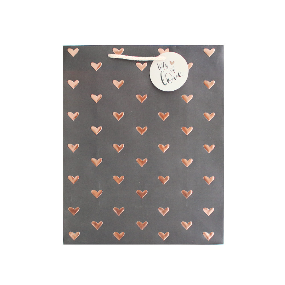 large gift bag hearts &amp; kisses