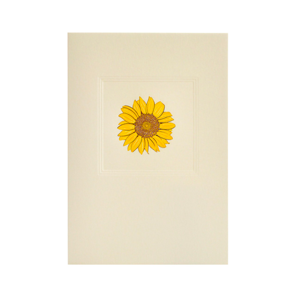 Sunflower on Cream