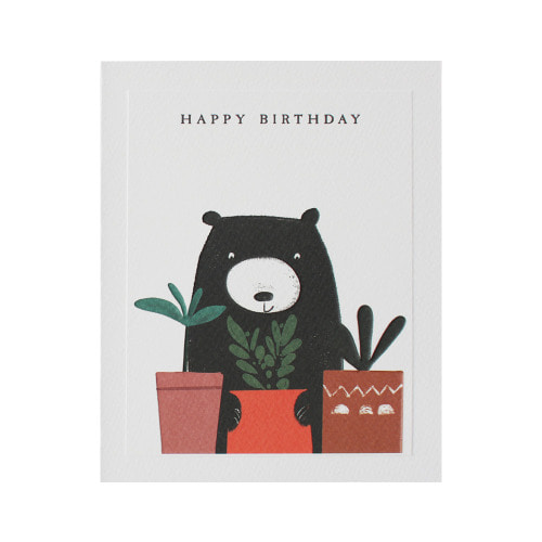 Bear &amp; Potted plants